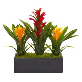 Bromeliads in Rectangular Planter (Color: Red Yellow, size: 15")