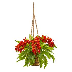Phalaenopsis Orchid and Fern Plant in Hanging Basket (size: 29")