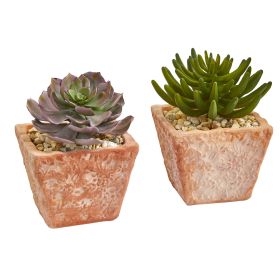 Succulent Artificial Plant in Planter (Set of 2) (size: 9")