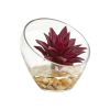 Succulent Artificial Plant in Glass Vase (Set of 2)