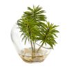 Succulent Artificial Plant in Glass Vase (Set of 2)