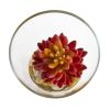 Succulent Artificial Plant in Glass Vase (Set of 2)
