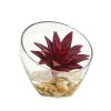 Succulent Artificial Plant in Glass Vase (Set of 2)