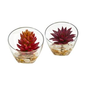 Succulent Artificial Plant in Glass Vase (Set of 2) (size: 6")