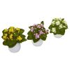 Kalanchoe Artificial Plant in White Vase (Set of 3)