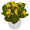 Kalanchoe Artificial Plant in White Vase (Set of 3)