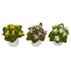 Kalanchoe Artificial Plant in White Vase (Set of 3)
