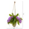 Phalaenopsis Orchid and Fern Plant in Hanging Vase