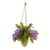 Phalaenopsis Orchid and Fern Plant in Hanging Vase