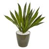 Sansevieria Artificial Plant in Decorative Planter