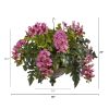 Phalaenopsis Orchid and Holly Fern Plant in Hanging Bowl