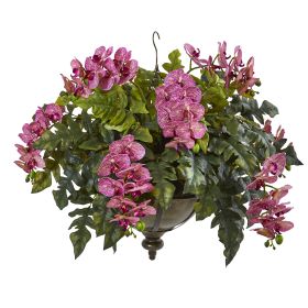 Phalaenopsis Orchid and Holly Fern Plant in Hanging Bowl (size: 25")
