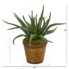Aloe Artificial Plant in Basket
