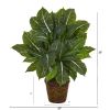 Ever Green Artificial Plant in Planter (Real Touch)