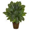 Ever Green Artificial Plant in Planter (Real Touch)