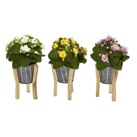 Kalanchoe Plant in Tin Planter with Legs (Set of 3) (size: 12")