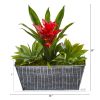 Bromeliad and Agave Plant in Black Tin Planter