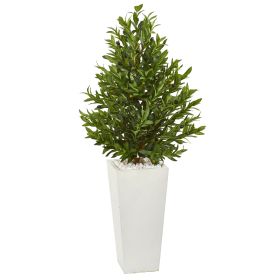 Olive Cone Artificial Tree in Planter UV (Indoor/Outdoor) (size: 4')