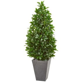 Bay Leaf Cone Topiary in Planter UV (Indoor/Outdoor) (size: 57")