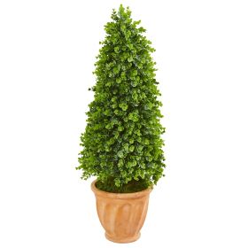 Eucalyptus Cone Topiary Tree in Planter (Indoor/Outdoor) (size: 40")