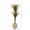 Yucca Artificial Tree in Sandstone Planter