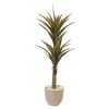 Yucca Artificial Tree in Sandstone Planter