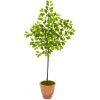 Lemon Artificial Tree in Terra Cotta Planter