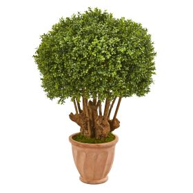 Boxwood Topiary Tree in Planter (Indoor/Outdoor) (size: 39")