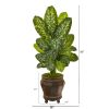 Dieffenbachia Artificial Plant in Planter (Real Touch)