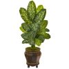 Dieffenbachia Artificial Plant in Planter (Real Touch)