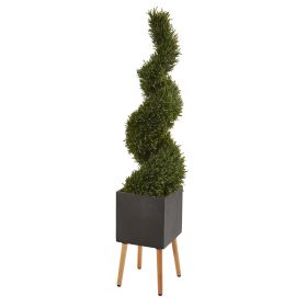 Rosemary Spiral Topiary Tree in Planter (Indoor/Outdoor) (size: 64")