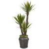 Yucca Artificial Tree in Metal Planter
