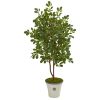 Oak Artificial Tree in Decorative Planter