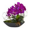 Phalaenopsis Orchid Arrangement in Decorative Planter