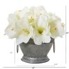 Amaryllis Arrangement in Bowl with Copper Trimming