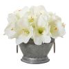 Amaryllis Arrangement in Bowl with Copper Trimming