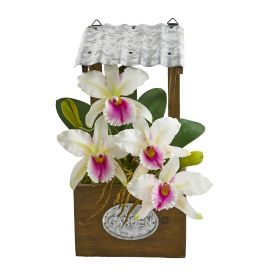 Cattleya Orchid Arrangement in Tin Roof Planter (size: 14")