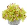 Cymbidium Orchid Arrangement in Tin White Vase