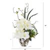 Amaryllis and Mixed Greens Arrangement in Silver Bowl