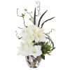 Amaryllis and Mixed Greens Arrangement in Silver Bowl