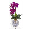 Phalaenopsis Orchid Arrangement in Decorative Vase