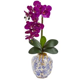 Phalaenopsis Orchid Arrangement in Decorative Vase (size: 25")