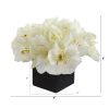 Amaryllis Artificial Arrangement in Black Vase