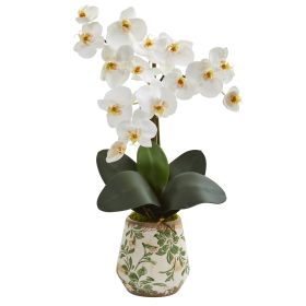 Phalaenopsis Orchid Arrangement in Floral Vase (size: 20")