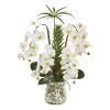 Phalaenopsis Orchid and Succulent Arrangement in Vase
