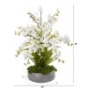 Phalaenopsis Orchid and Agave Arrangement in Gray Vase