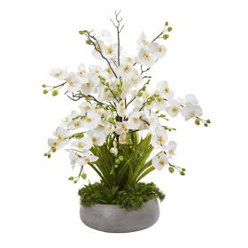 Phalaenopsis Orchid and Agave Arrangement in Gray Vase (size: 3')