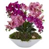 Phalaenopsis Orchid and Succulent Arrangement in Vase