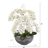 Phalaenopsis Orchid Arrangement in Large Cement Bowl