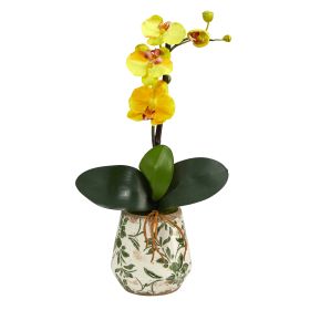 Mini Orchid Phalaenopsis Arrangement in Floral Vase (size: 18")